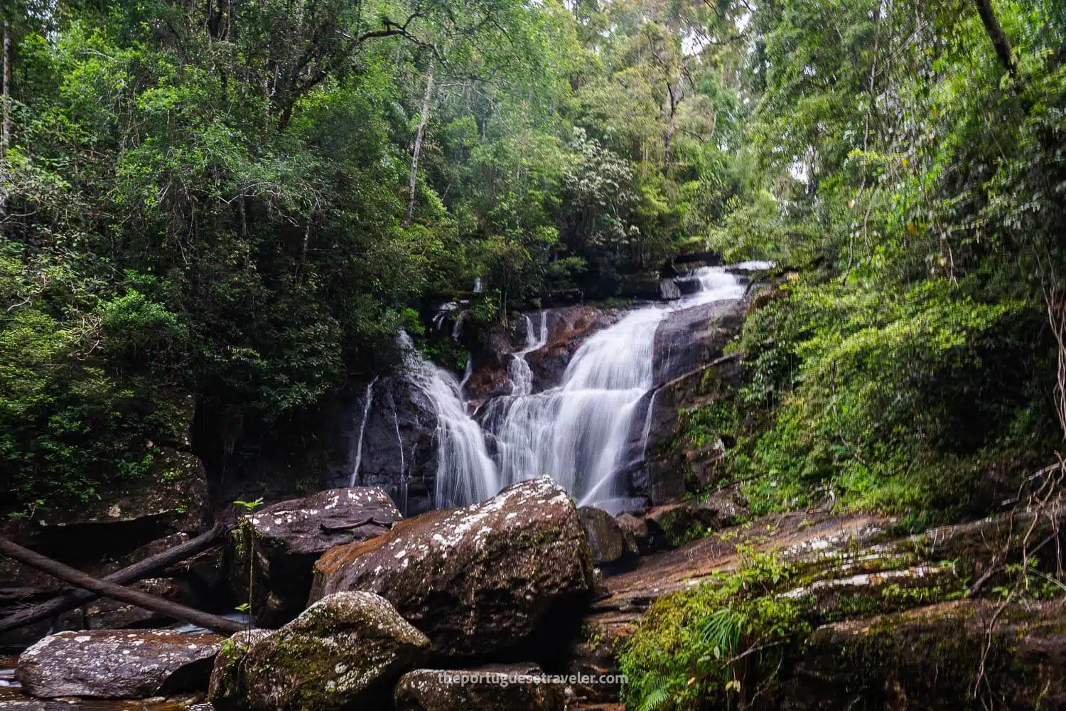 Sinharaja Rain Forest