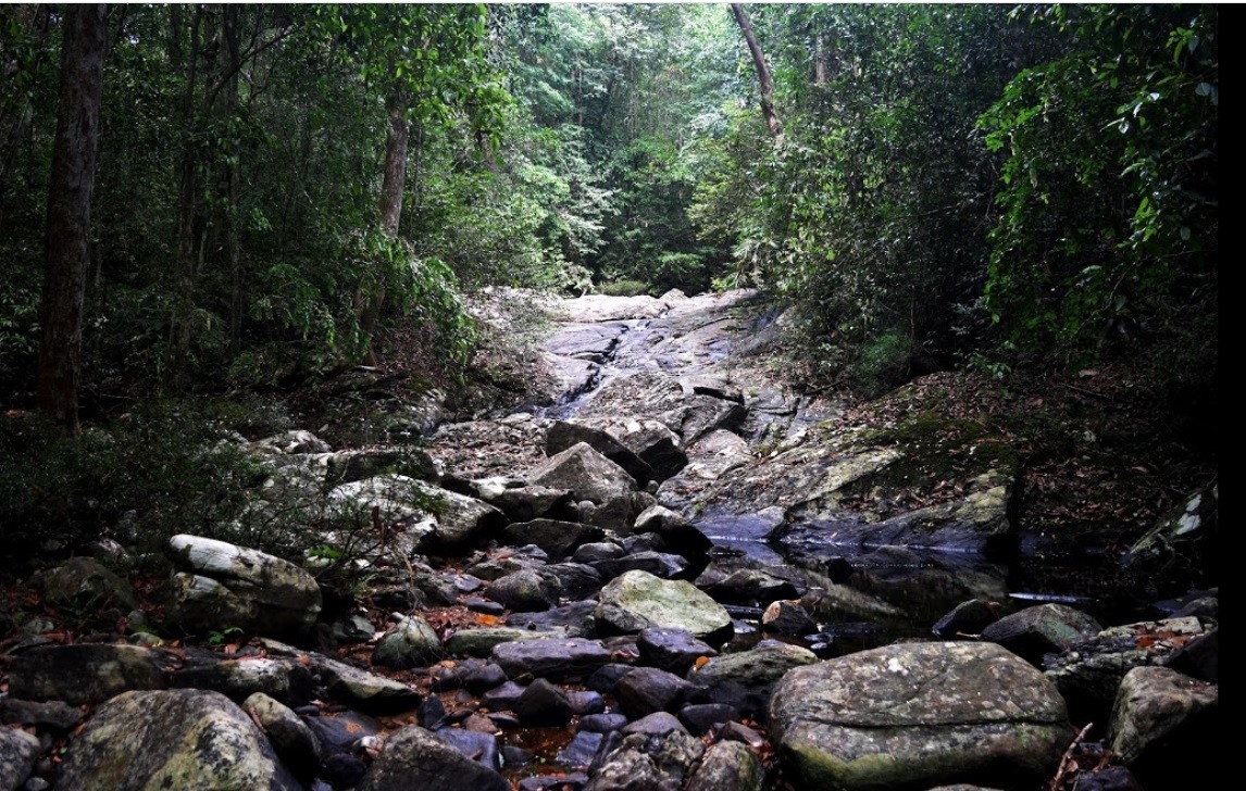 Labugama Forest Reserve