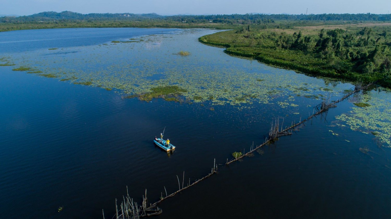 Bolgoda Lake Mangroves